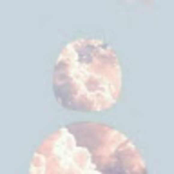 Meet your Posher, Brianna - Picture 1 of 1